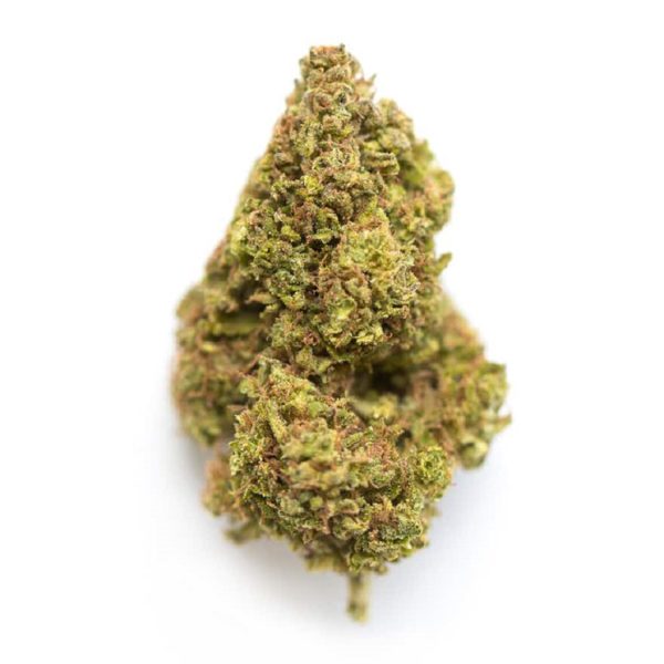 Buy Applegate Apple Cheese weed online