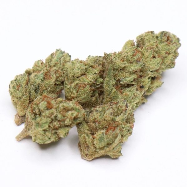 Buy Biscotti weed online