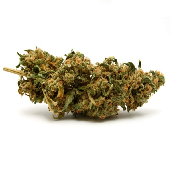 Buy Blueberry weed online