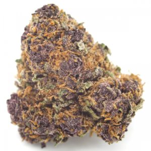 Buy Purple Kush online