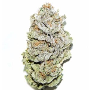 Buy Super Silver Haze online