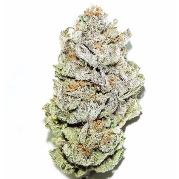 Buy Super Silver Haze online