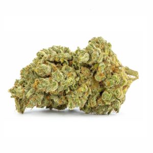 Buy Tangie online